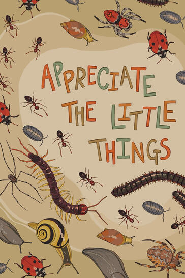 &quot;Appreciate the Little Things&quot; Advocacy Project