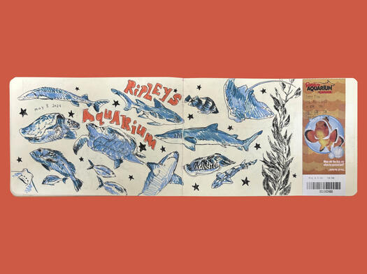 Ripley&#39;s Aquarium