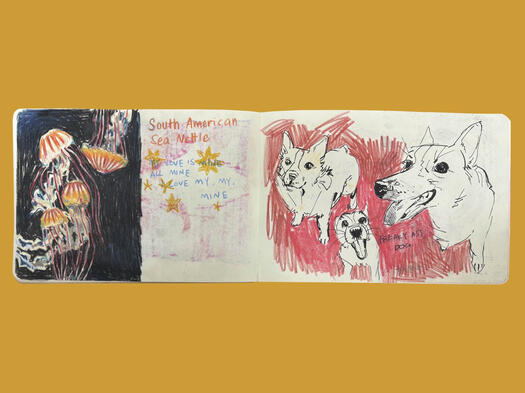 Sea Nettles &amp; Tako