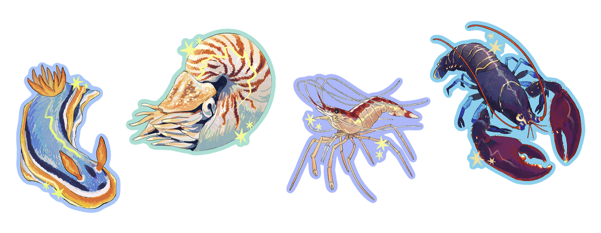 Ocean Invertebrates (Die-Cut Stickers)