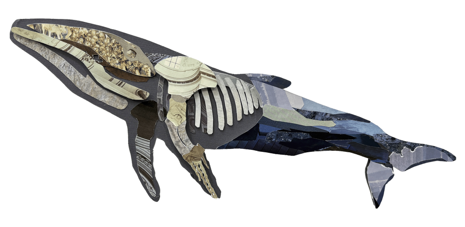 Whale of Wonder (Collage)